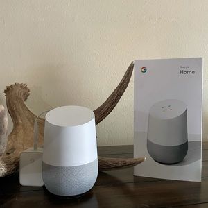 Google home 🏡